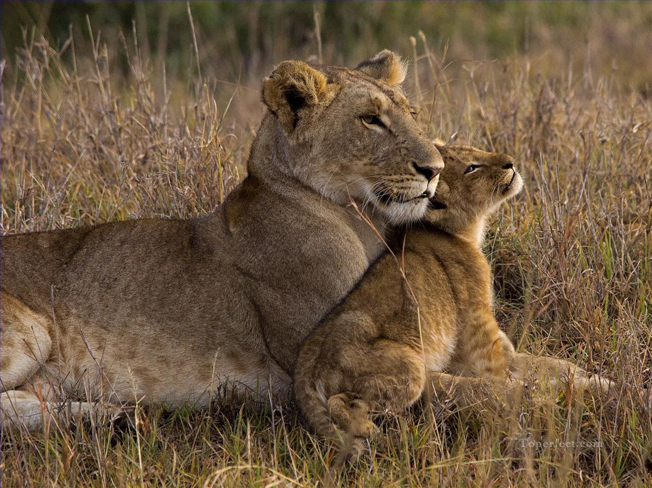 Löwe Baby mit Mutter Ölgemälde